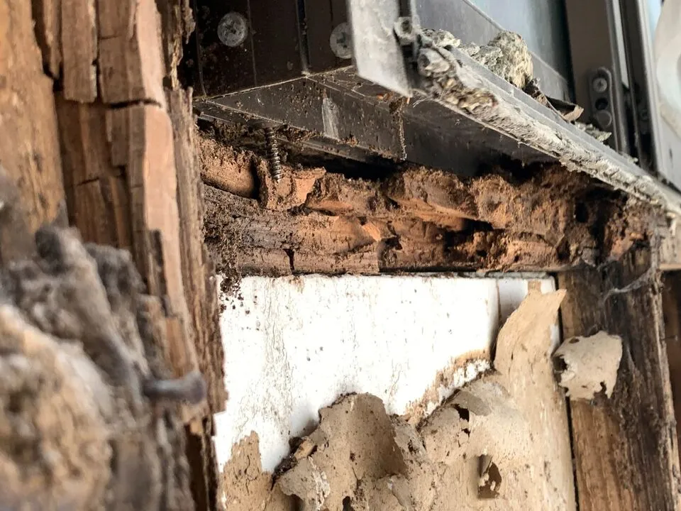 交野市私市にて外壁塗装・木軸修繕・防水工事が完了！