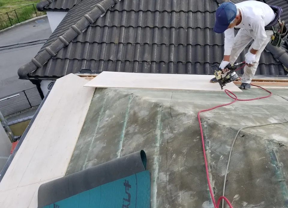 　交野市,枚方市,寝屋川市,門真市,守口市で台風21号による屋根の修繕・葺き替えは