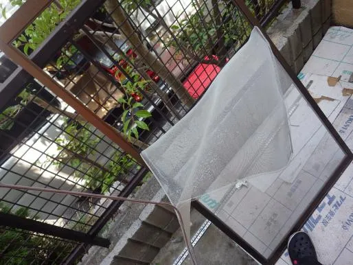 大阪市でのハウスクリーニング,洗い工事【エアクリン】安価で高品質な清掃,ワックスはエアクリン 写真4