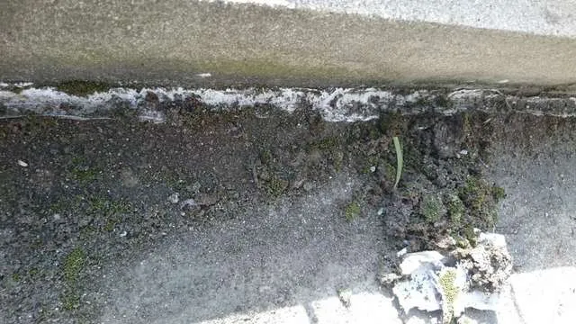 大阪でリフォームするなら確実な施工 実績の関西ホームズ株式会社 収益リフォーム 写真3