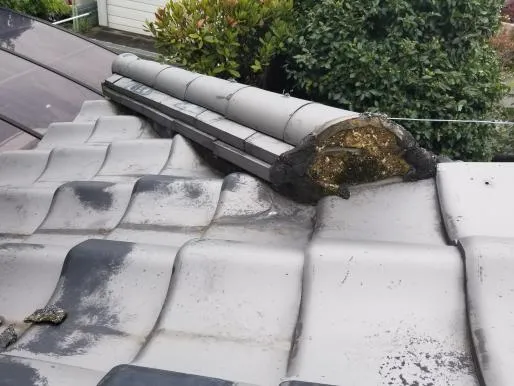 八尾市での屋根修繕工事,内装クロス張替,雨漏り修繕は関西ホームズ株式会社 写真4