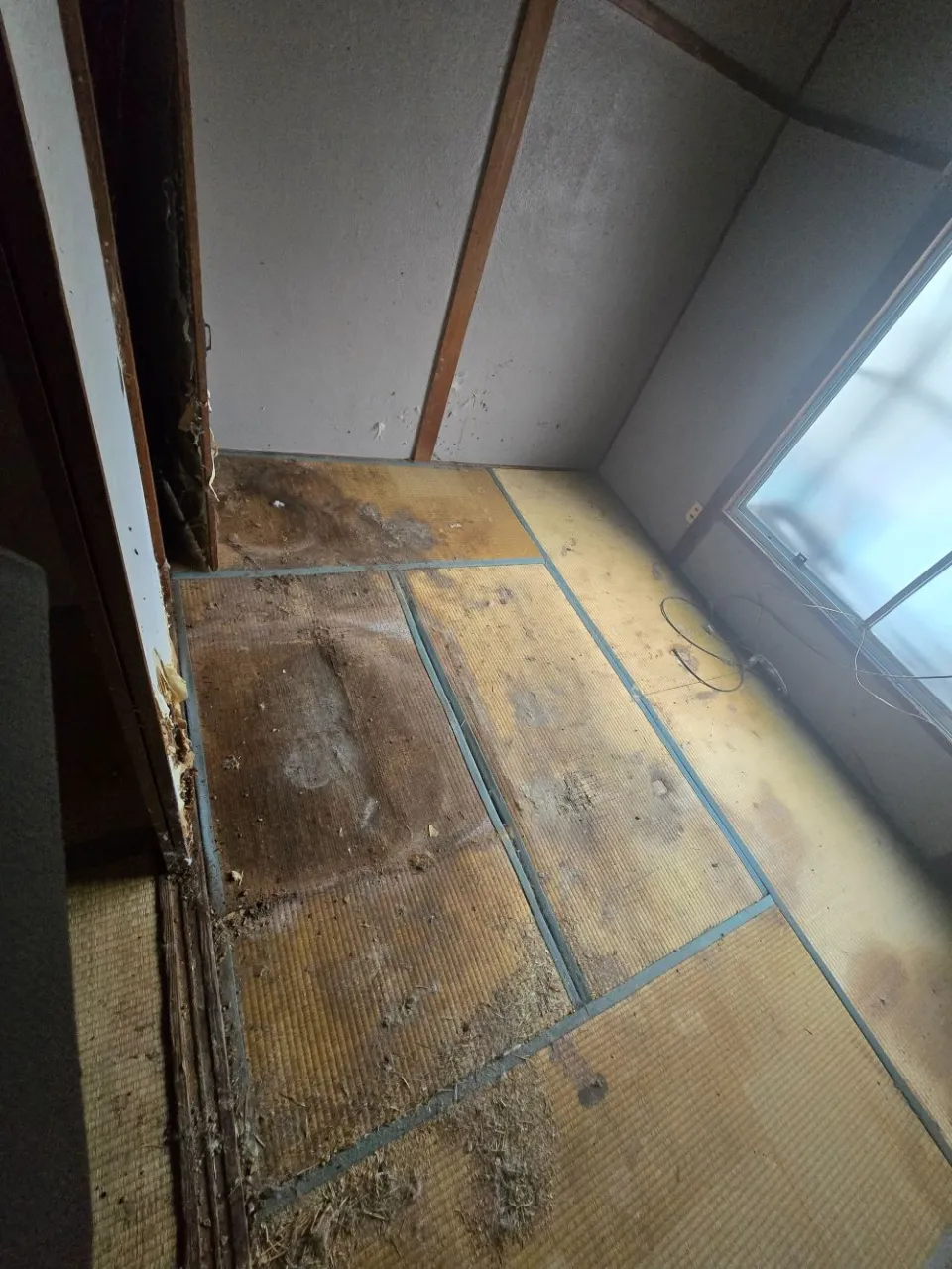 堺市にて文化住宅の内装復旧工事 写真5